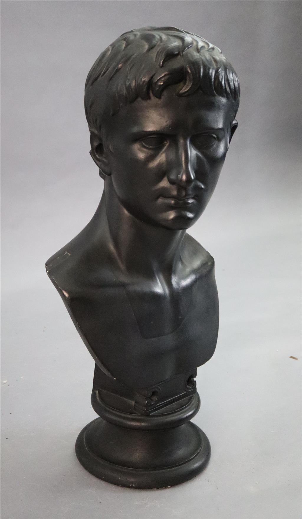 D. Brucciani & Co of London. An ebonised plaster bust of Augustus, height 27in.